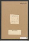 Schizonema zanardinii Nb. (de-Toni-Nr.: Genus 20, Species 1174) Zeichnungen Sammlung Grunow Nr. 2279 (NHMW-BOT-W0369398)